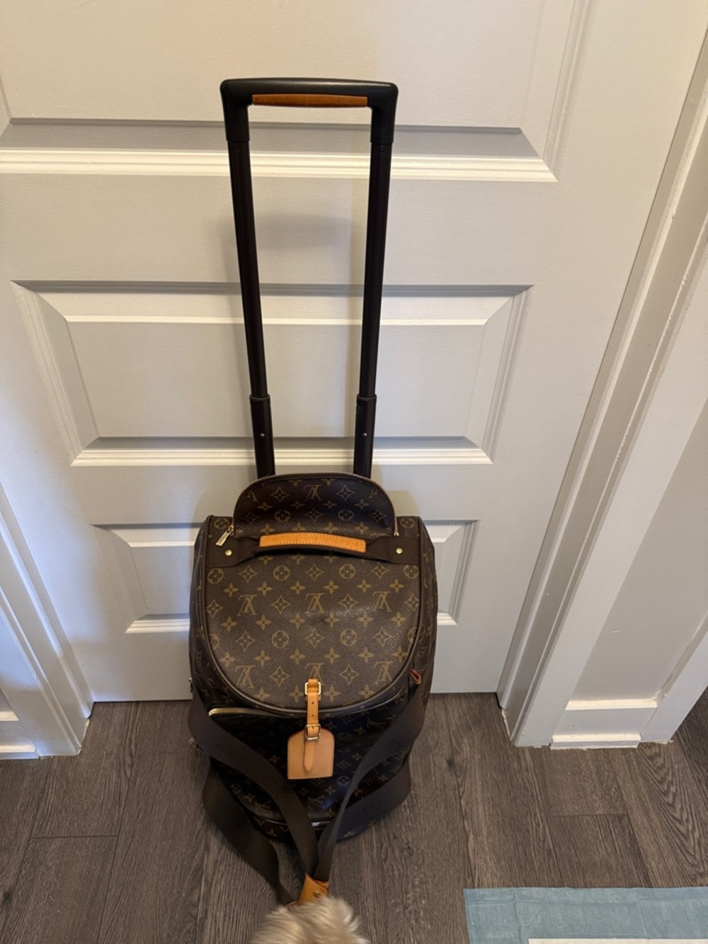Louis Vuitton Monogram Canvas Carry All Travel Duffel in Brown & Tan - Picture 8 of 10